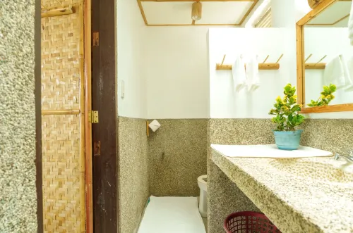 big_screenshot_2025-06-09_at_4